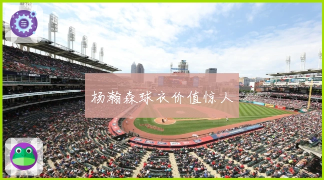 杨瀚森球衣价值惊人