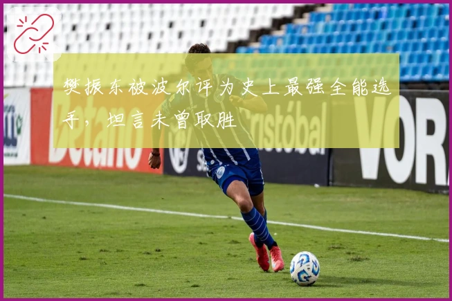 樊振东被波尔评为史上最强全能选手，坦言未曾取胜